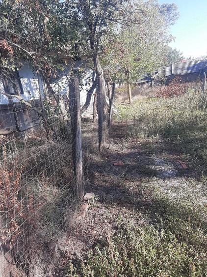 Teren de 817 mp, în Mandra
