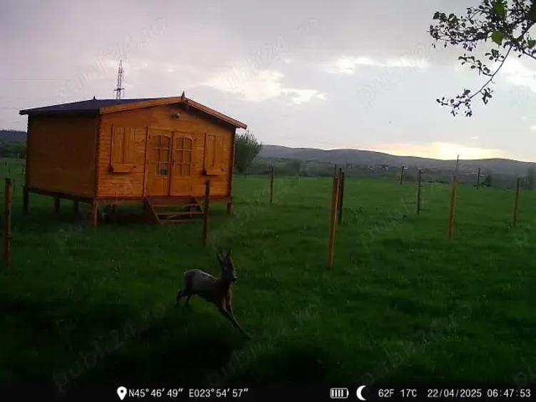 Teren de 16800 mp, în Sibiel