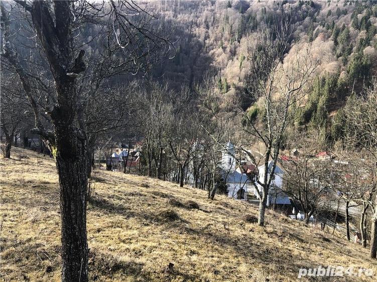 Teren de 5062 mp, în Voineasa