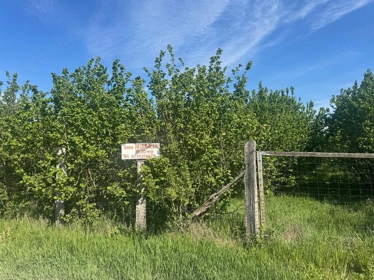 Teren de 3000 mp, în Central