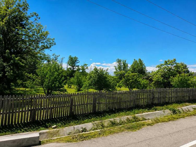 Teren de 1570 mp, în Băbana