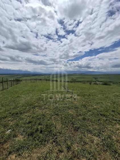 Teren de 11500 mp, în Daia