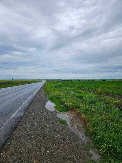 Teren agricol extravilan de 20000 mp, în Matca