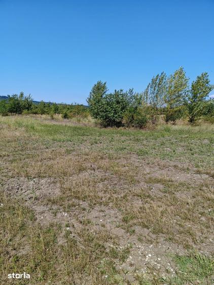 Teren de 1501 mp, în Bănești