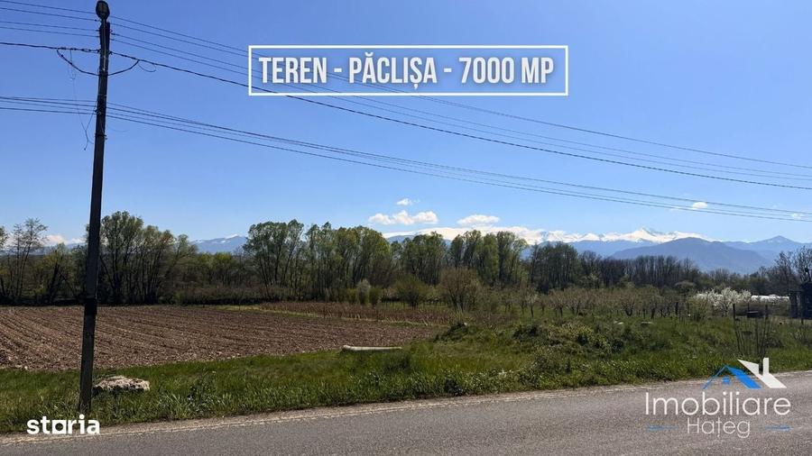 Spațiu comercial, în Păclișa
