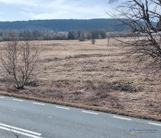 Teren intravilan de 3035 mp, în Bodești