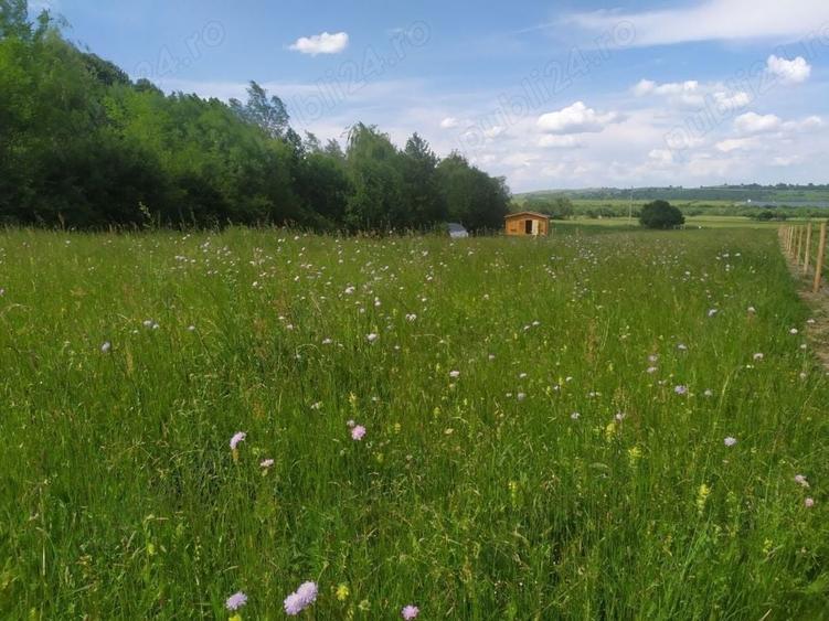 Teren de 16800 mp, în Sibiel