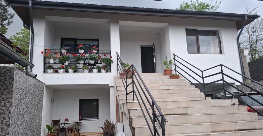 Casă cu 3 camere în Vișan