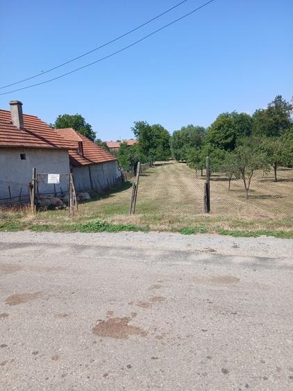 Spațiu comercial, în Vaidei