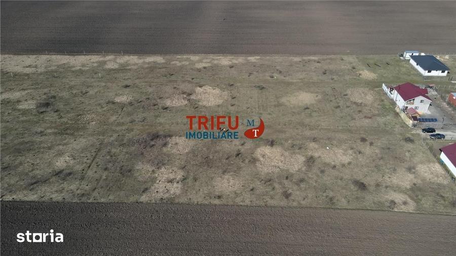 Teren de 600 mp, în Sebeș