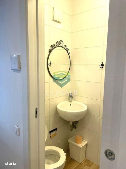 Apartament cu 3 camere zona Piata Victoriei - 10