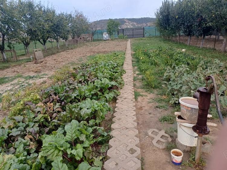 Teren de 1400 mp, în Central
