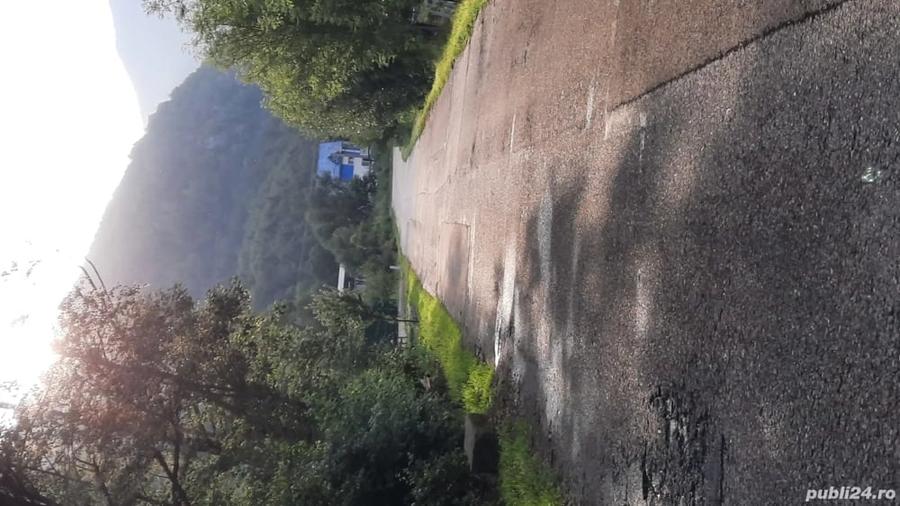 Teren de 1400 mp, în Vest