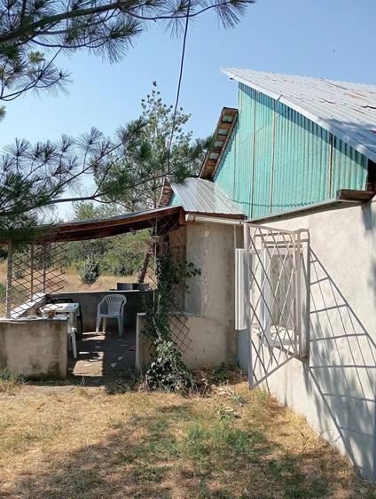 Casă cu Teren 2500 Mp în Șelaru