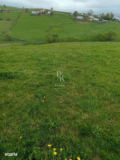 Teren de vanzare/schimb 5.000 mp, situat in Maguri, Cluj! - 9