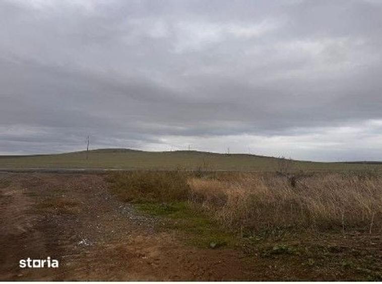 Teren de 15000 mp, în Nalbant