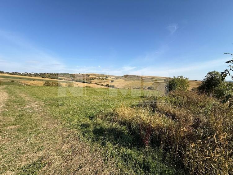 Teren Construcții intravilan de 4000 mp, în Burla