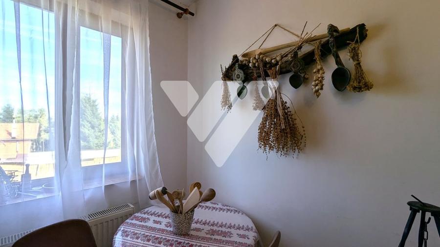 Casă individuală cu 7 camere cu Teren 430 Mp în Păltiniș