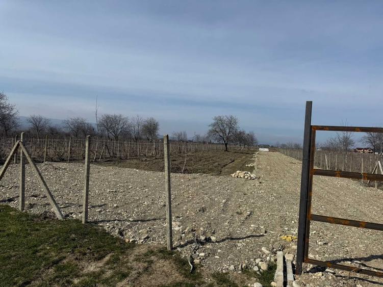 Teren de 4000 mp, în Câmpineanca