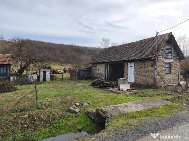 Teren de 6000 mp, în Julița