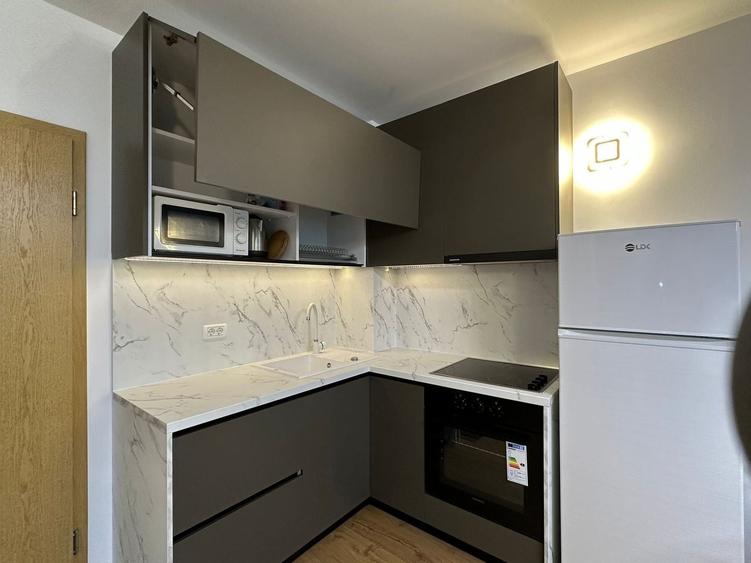 Apartament cu 2 camere decomandat, mobilat în Delfinariu