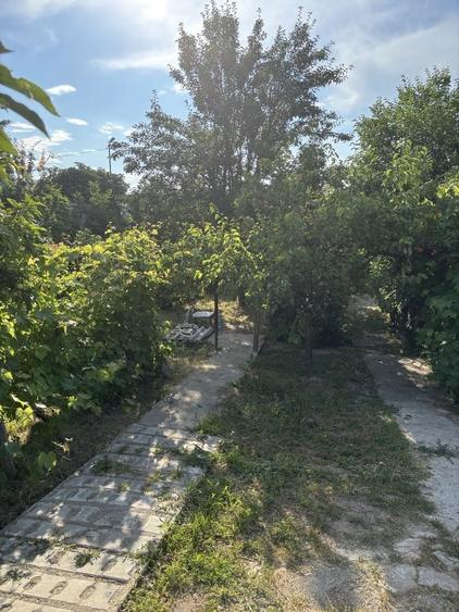 Casă cu 3 camere în Central