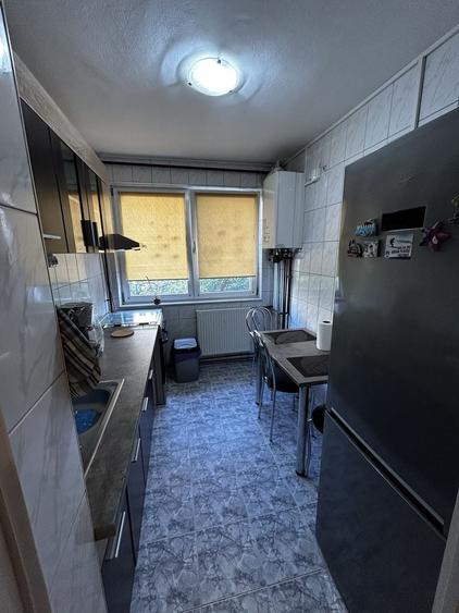 Inchiriere apart 2 camere Parklake - 2