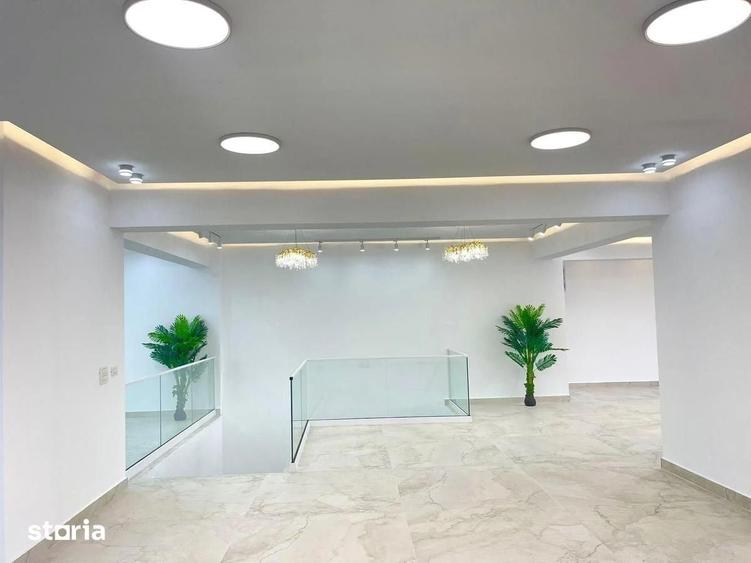 Spațiu comercial, de 250 mp, în Ion Creangă