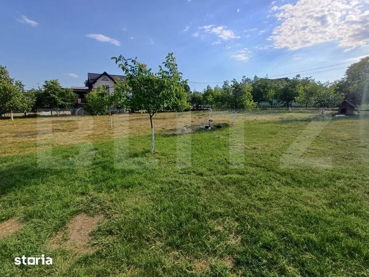 Teren intravilan 60 ari cu iaz si cabana, zona Ilisesti - 6