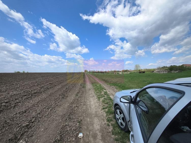 Teren Construcții intravilan de 3000 mp, în Poșta
