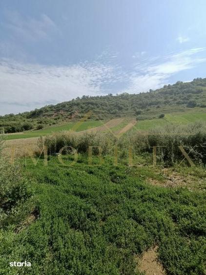 Teren de 2760 mp, în Sava
