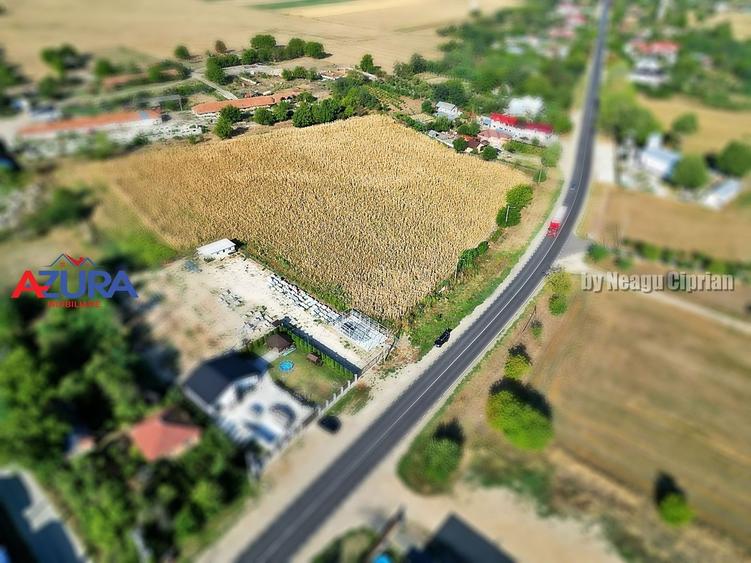 Teren Construcții intravilan de 7976 mp, în Crângurile