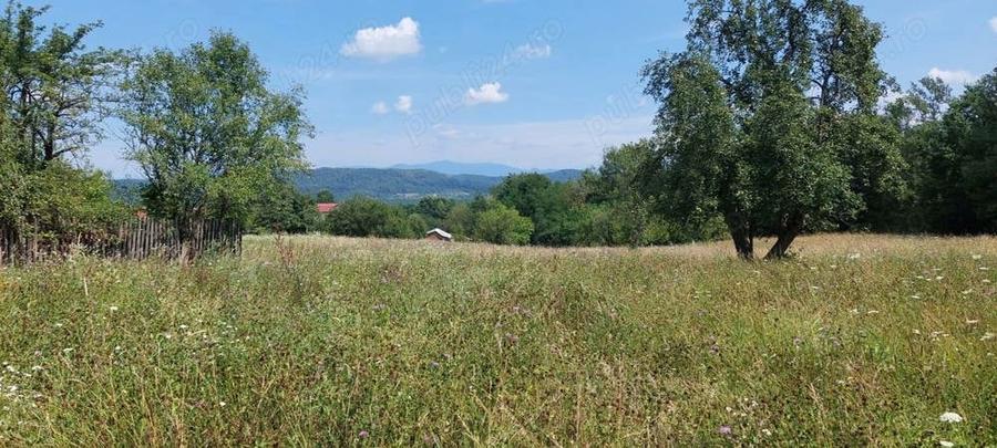 Teren de 9730 mp, în Țebea