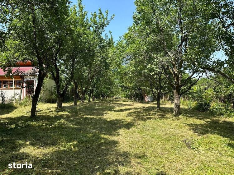 Teren de 1915 mp, în Sadu