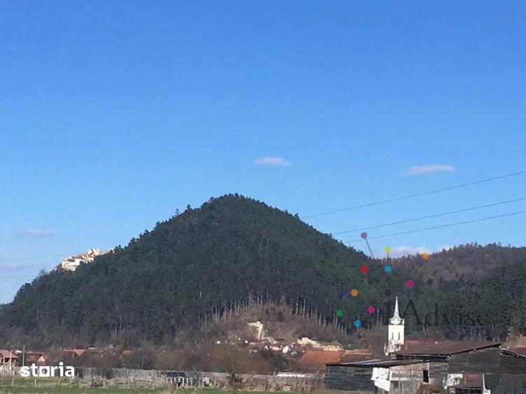 Teren de 3800 mp, în Râșnov