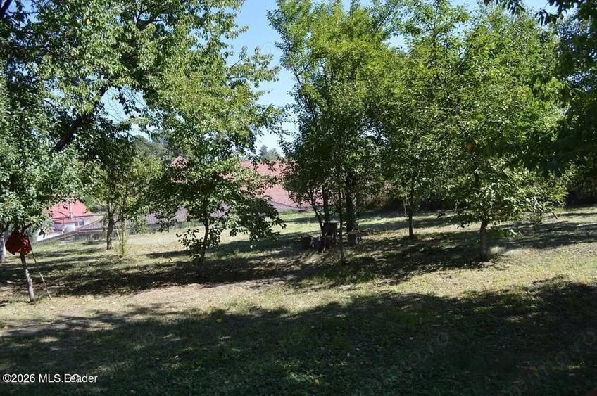 Casă cu Teren 1339 Mp în Central