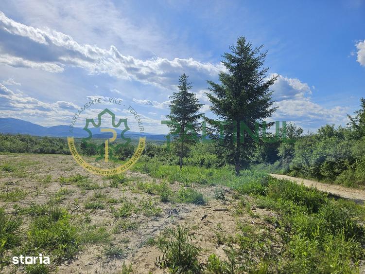Teren de 3000 mp, în Central