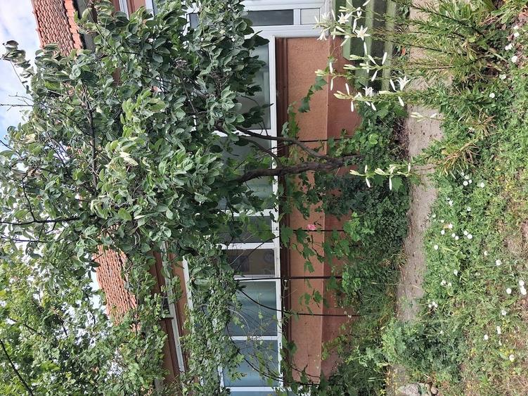 Casă cu 3 camere cu Teren 1700 Mp în Brebeni