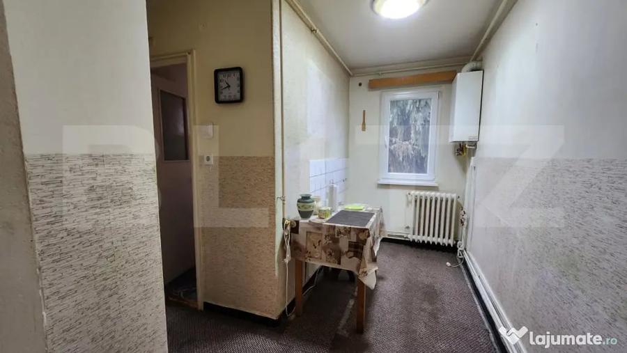 Apartament cu 3 camere, 45 mp, zona Dambu - 3