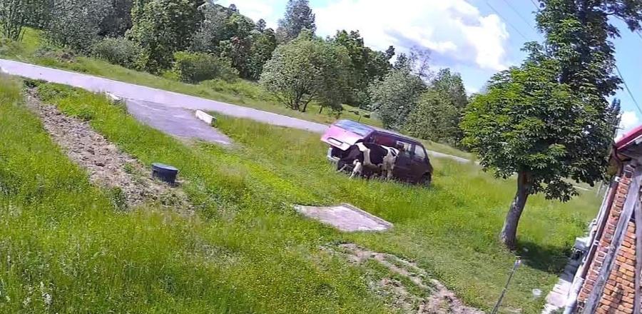 Casă cu 4 camere în Ohaba Română