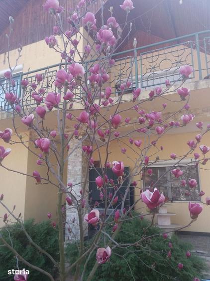 Casă cu 7 camere cu Teren 3077 Mp în Snagov