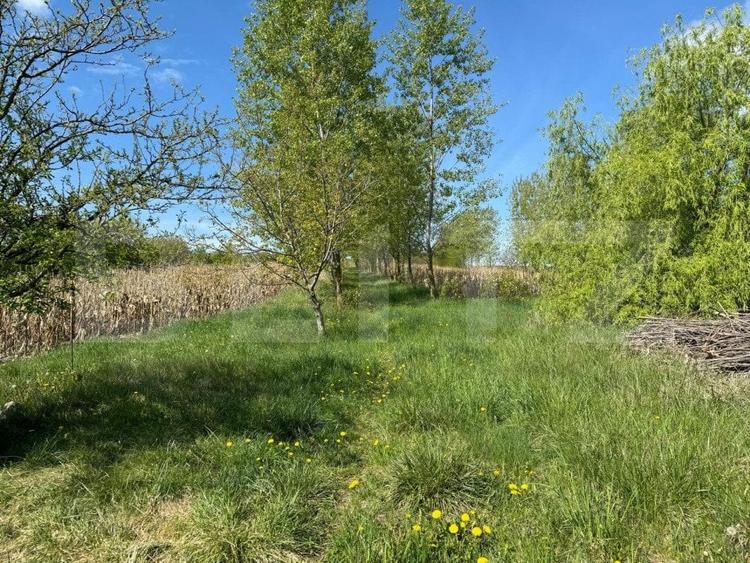 Teren Construcții intravilan de 19000 mp, în Botoșanița Mare