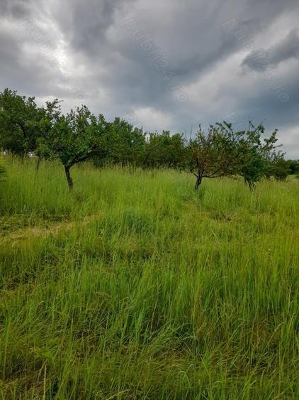 Teren de 34422 mp, în Bădeni