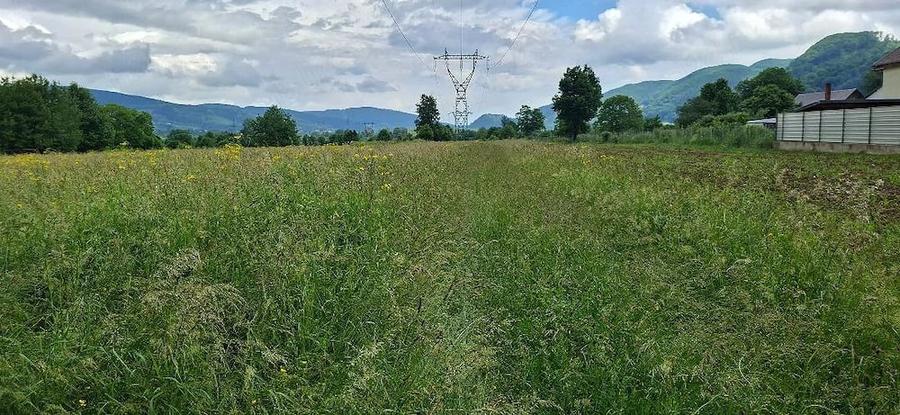 Teren de 2650 mp, în Vad
