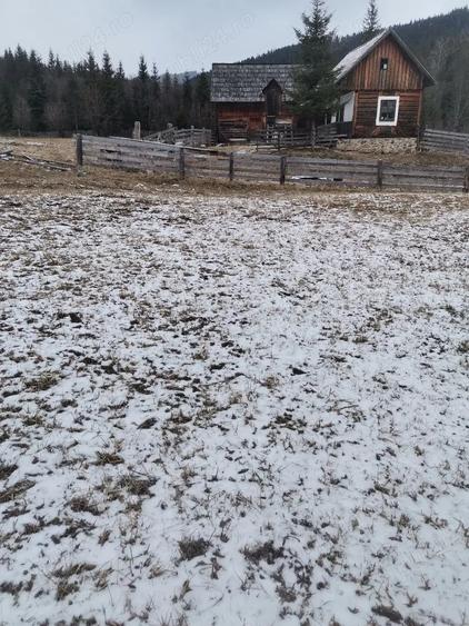 Teren de 10000 mp, în Sadova