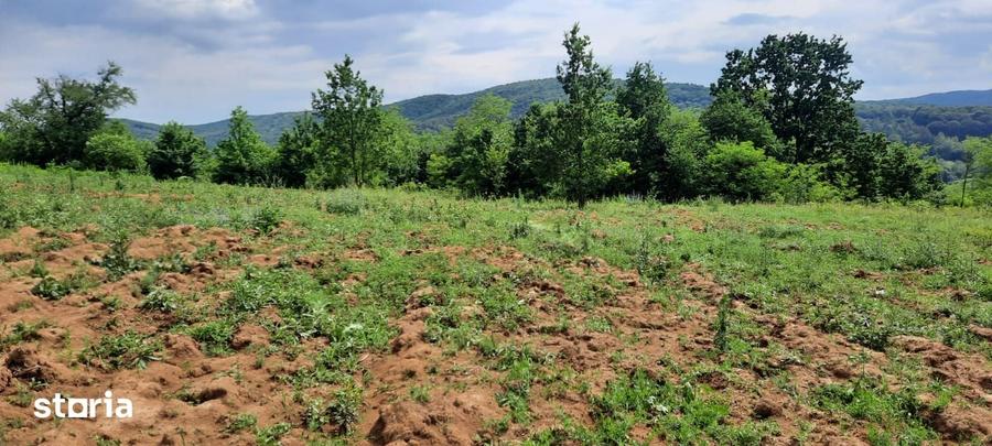 Teren de 3000 mp, în Mărgineni