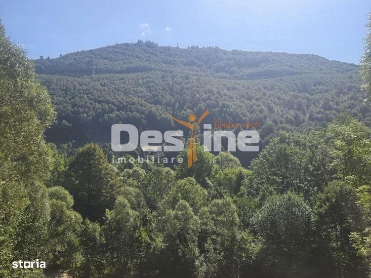 Teren Valea Doftanei, zona Pe Vale - Baraj Paltinu - 4