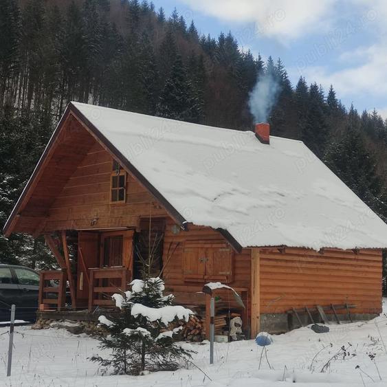 Teren de 9172 mp, în Pintic