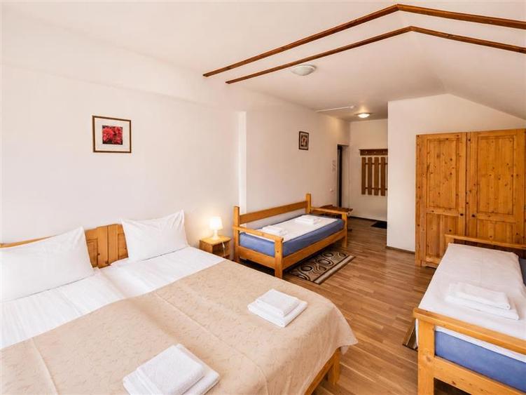 Pensiunea Casa Maria Busteni,afacere HoReCa,restaurant clasificat,spectacol mont - 23