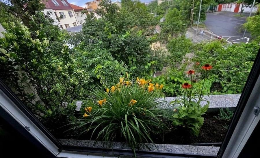 Apartament cu 2 camere decomandat, mobilat în Dămăroaia